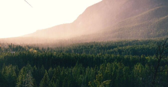 Online Information Session- FREE