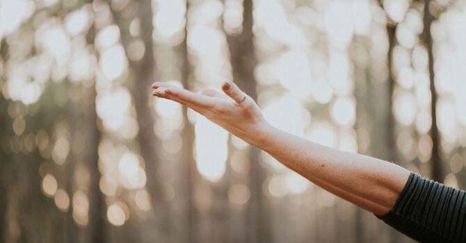 Online Information Session- FREE